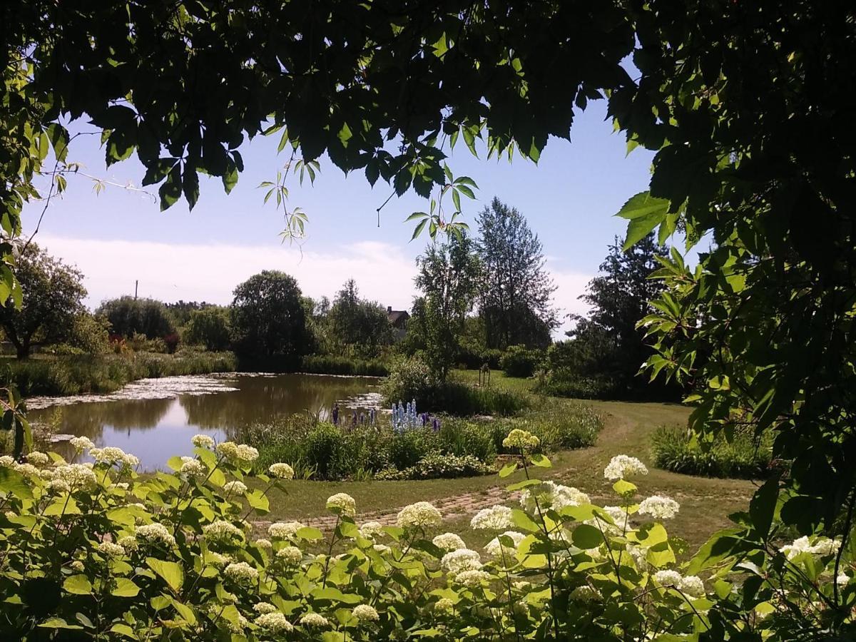 Dikisi Villa Daugavpils Eksteriør bilde