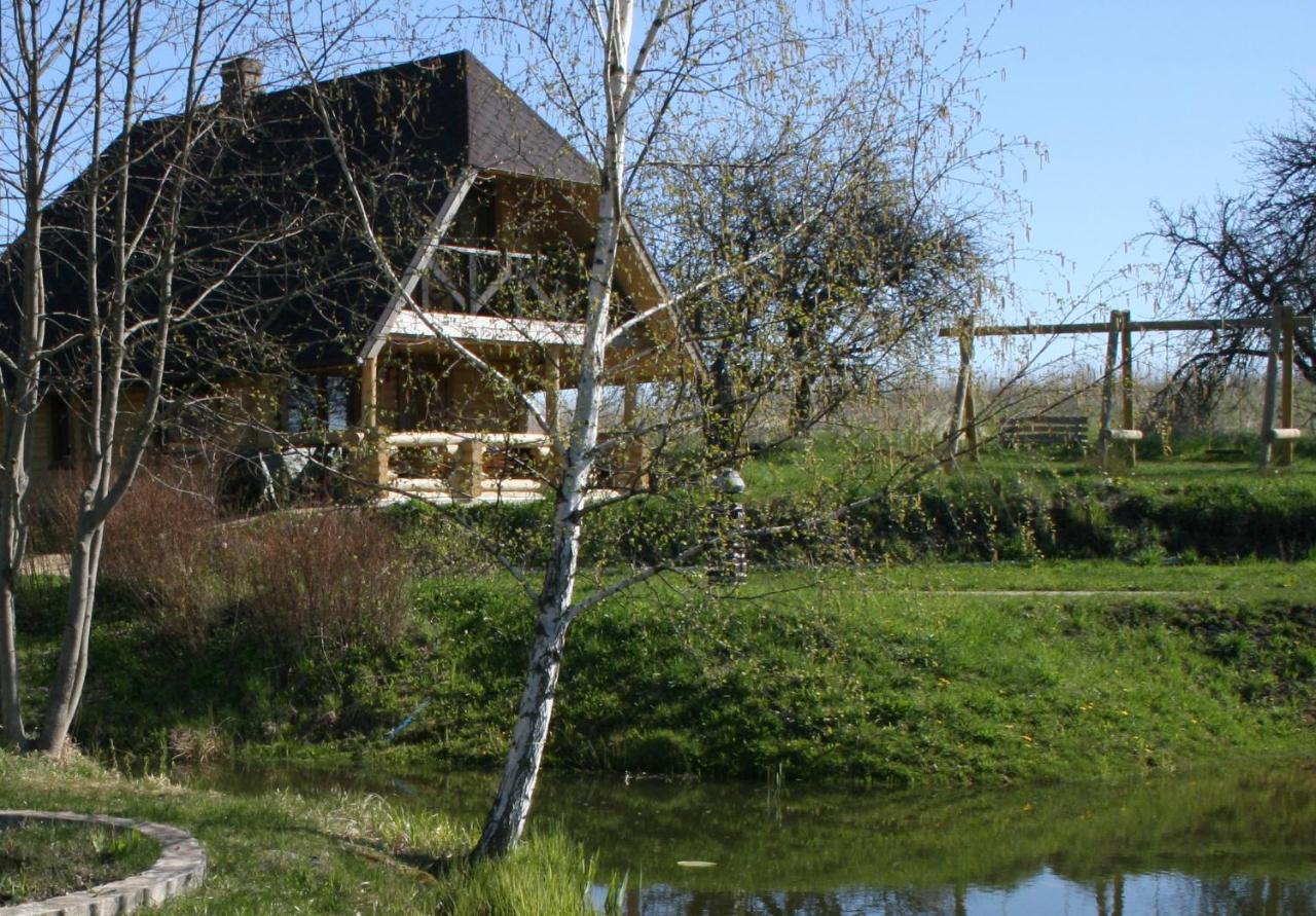Dikisi Villa Daugavpils Eksteriør bilde