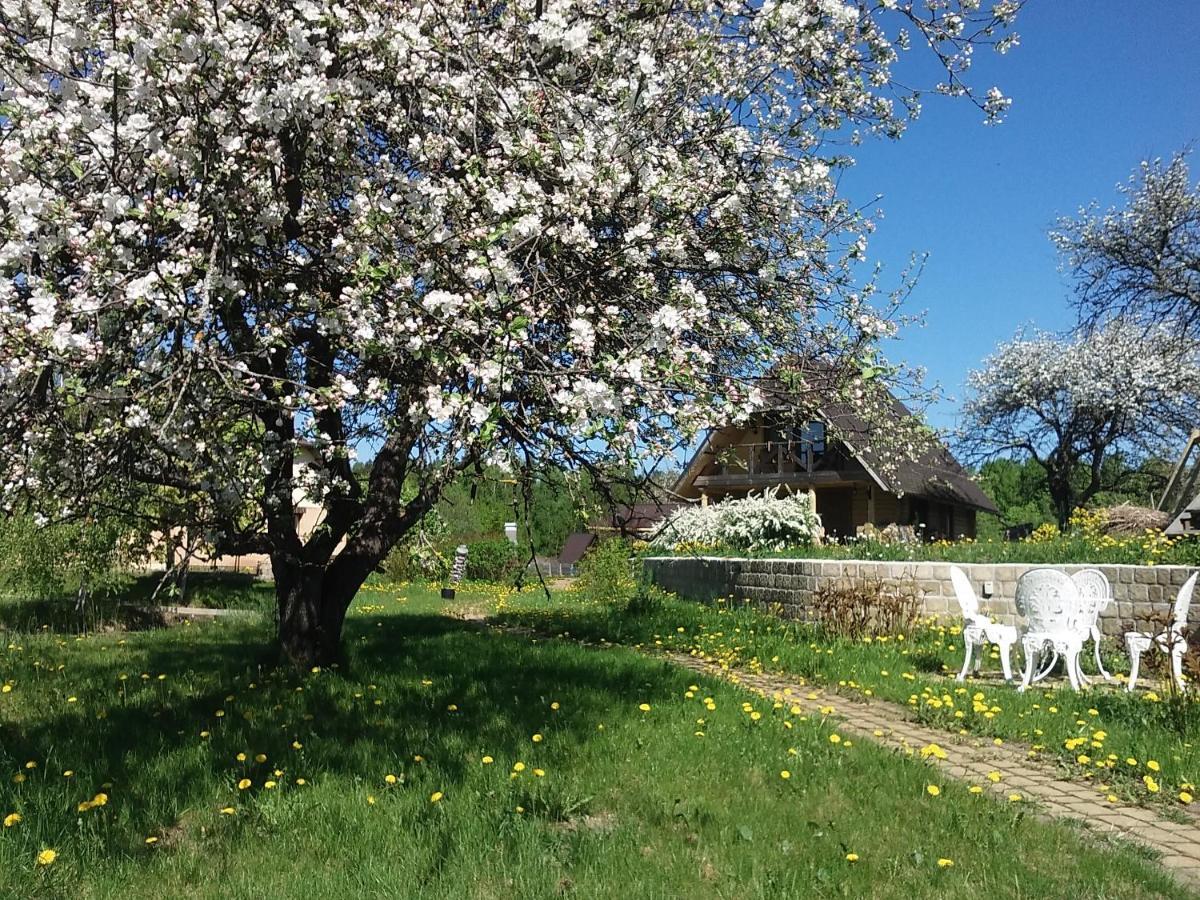 Dikisi Villa Daugavpils Eksteriør bilde